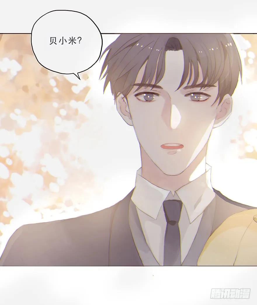 迟开之花（四）-风信花-麟琅工作室（第4张）