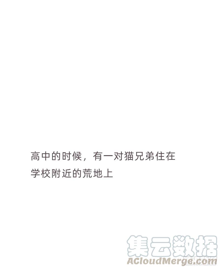 蜜糖陷阱（八）-风信花-麟琅工作室（第1张）