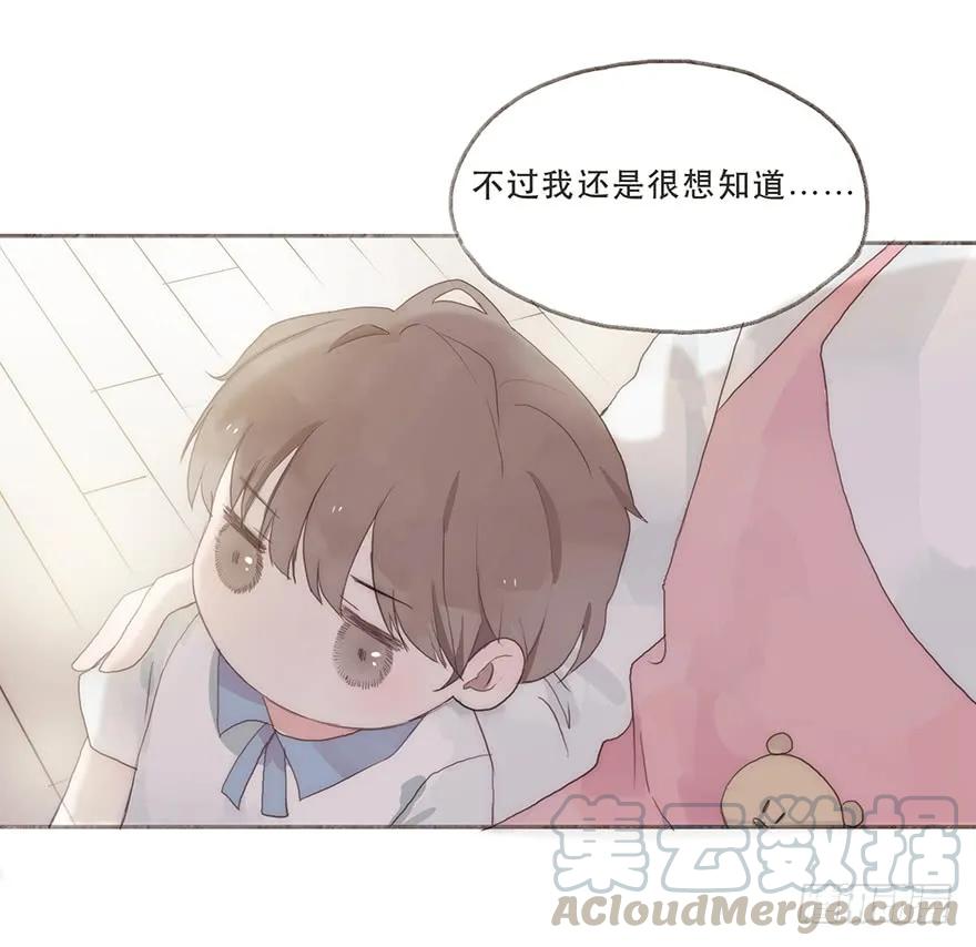 迟开之花（六）-风信花-麟琅工作室（第13张）