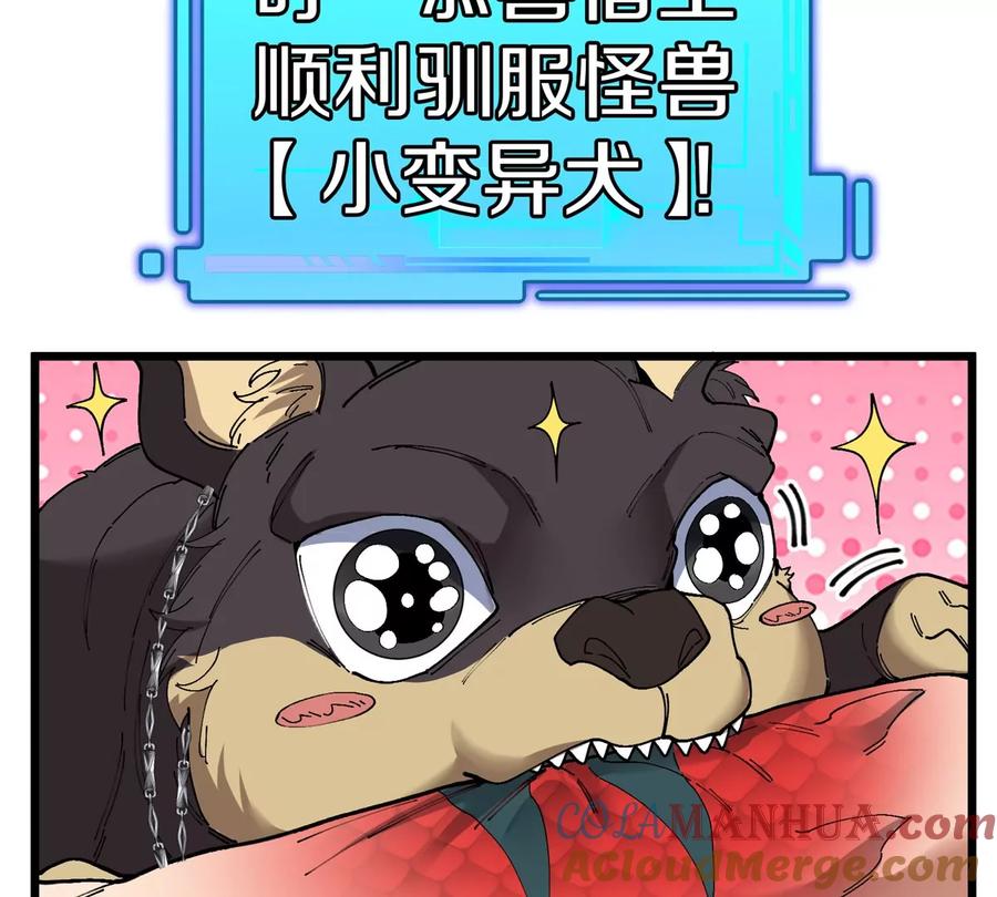 61.jpg
