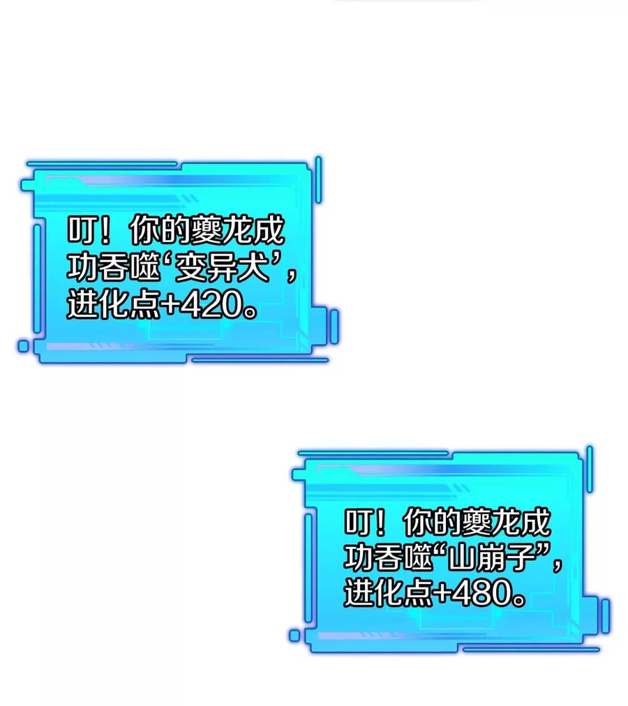 35.jpg