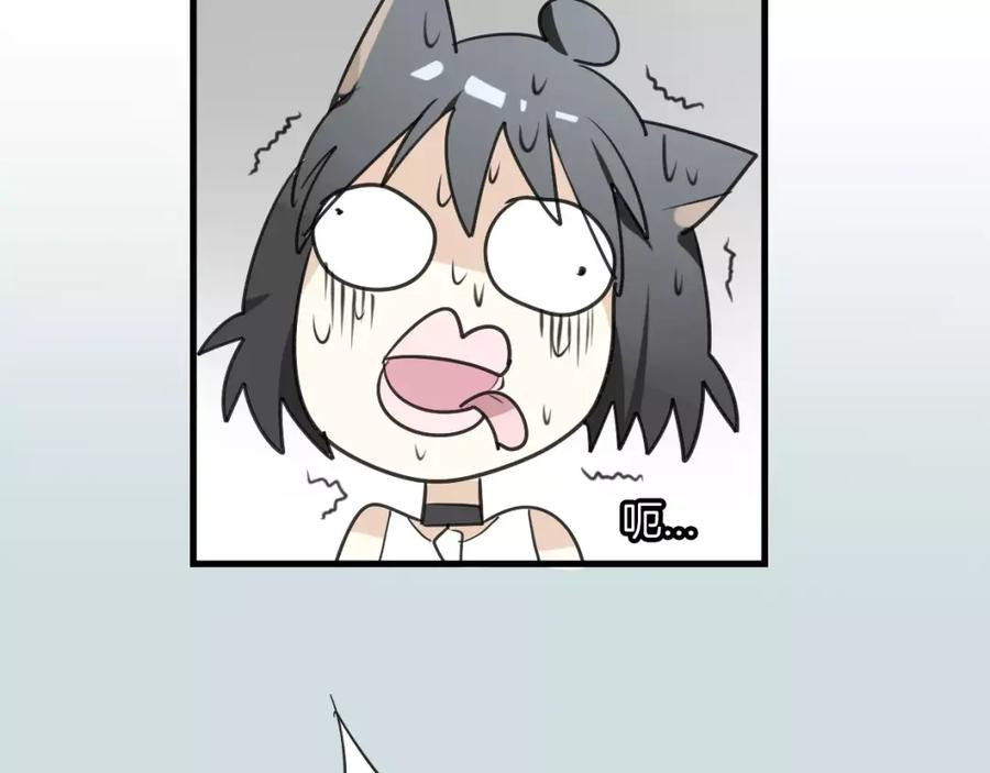 84.jpg
