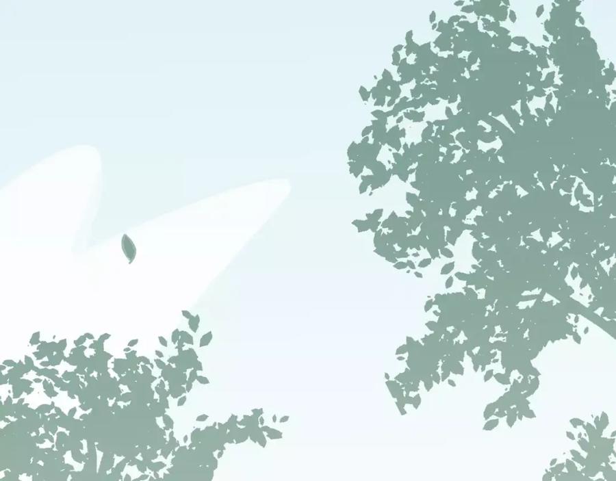 102.jpg