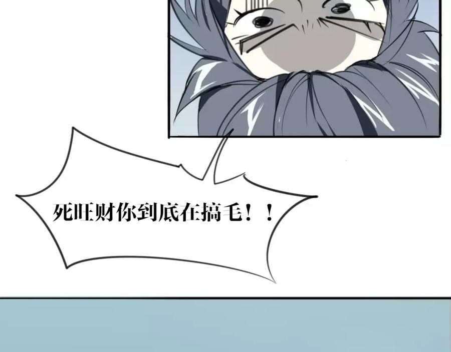 84.jpg