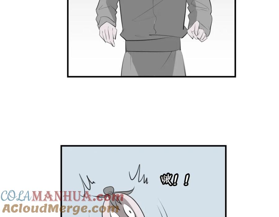 61.jpg