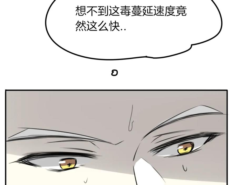 75.jpg
