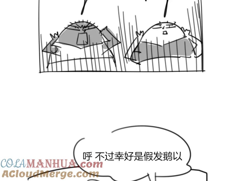 145.jpg