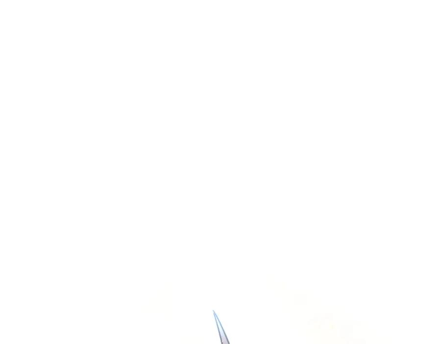 87.jpg