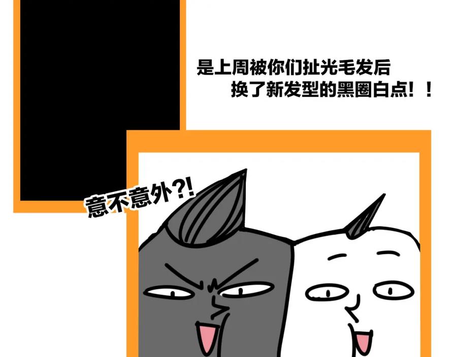 139.jpg