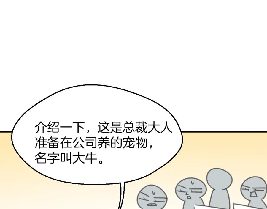 111.jpg
