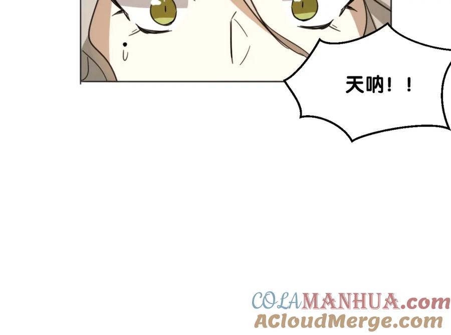 81.jpg