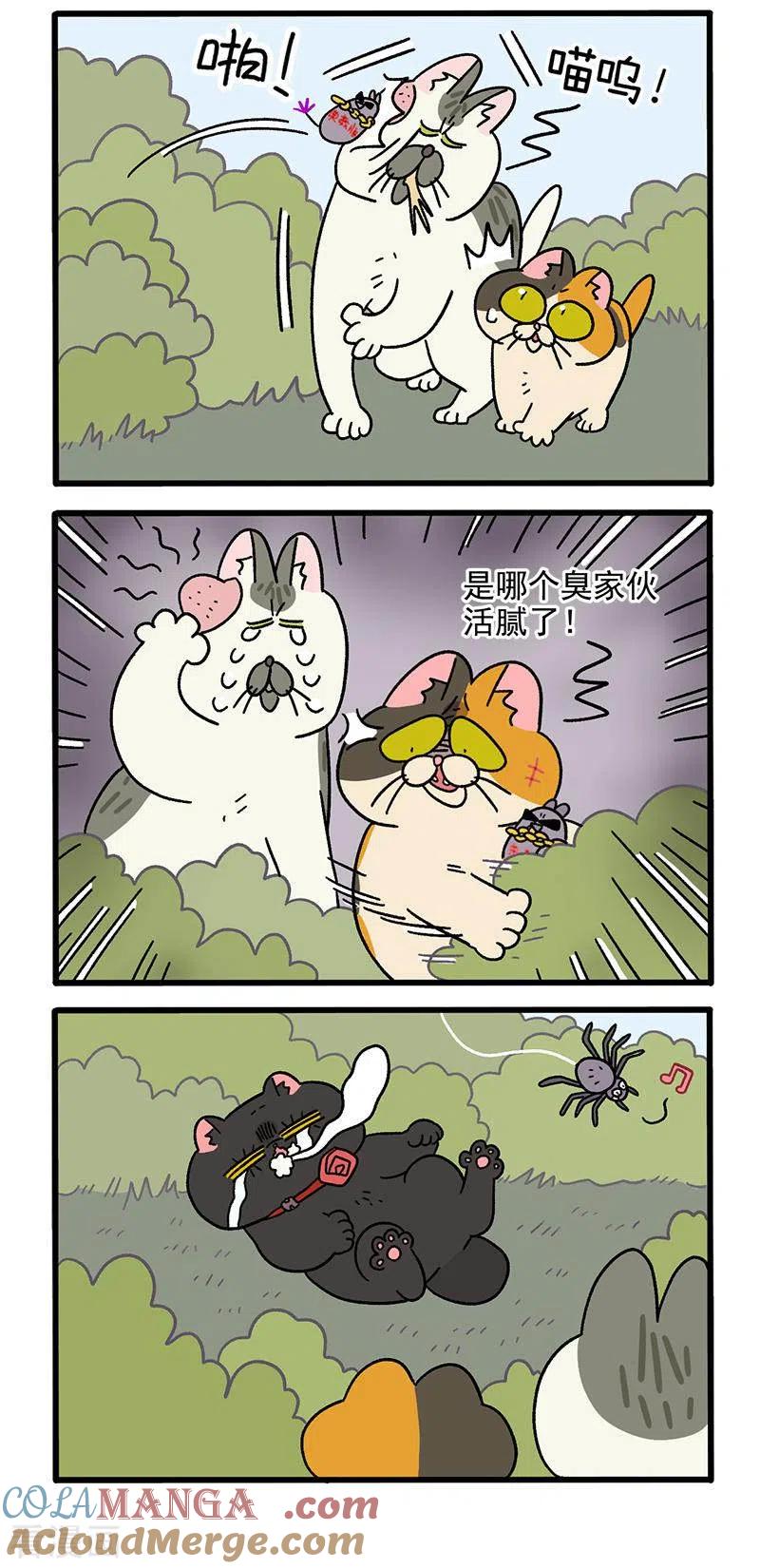 第37话2继任老大-阿满和麦茶-新漫画 日胖大海寺（第3张）