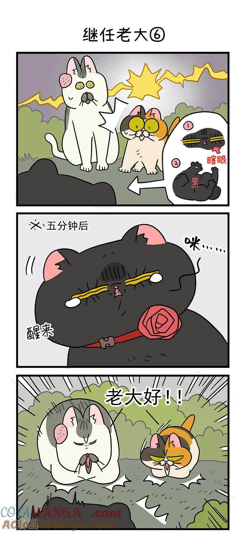 第37话2继任老大-阿满和麦茶-新漫画 日胖大海寺（第4张）