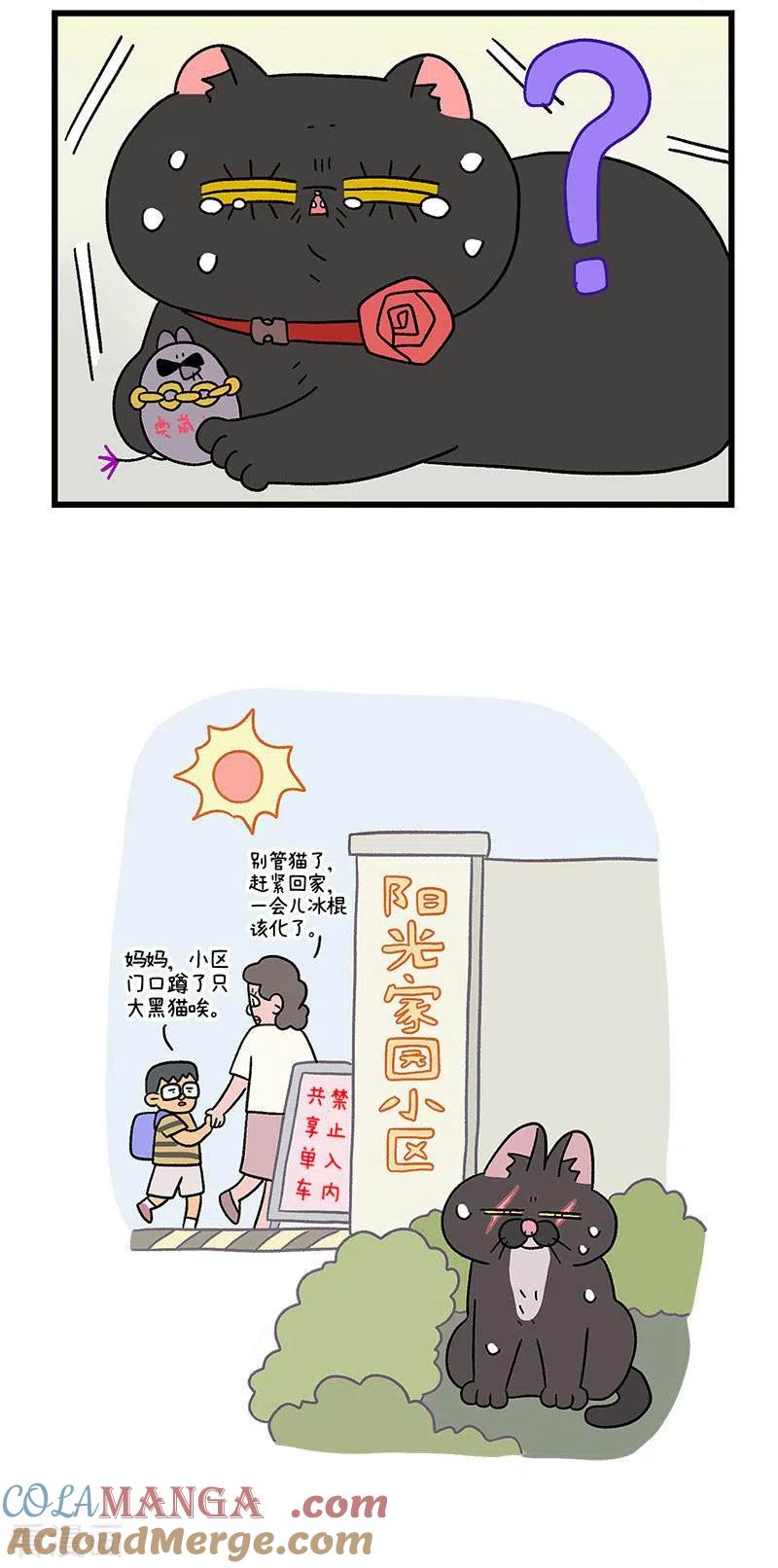 第37话2继任老大-阿满和麦茶-新漫画 日胖大海寺（第5张）