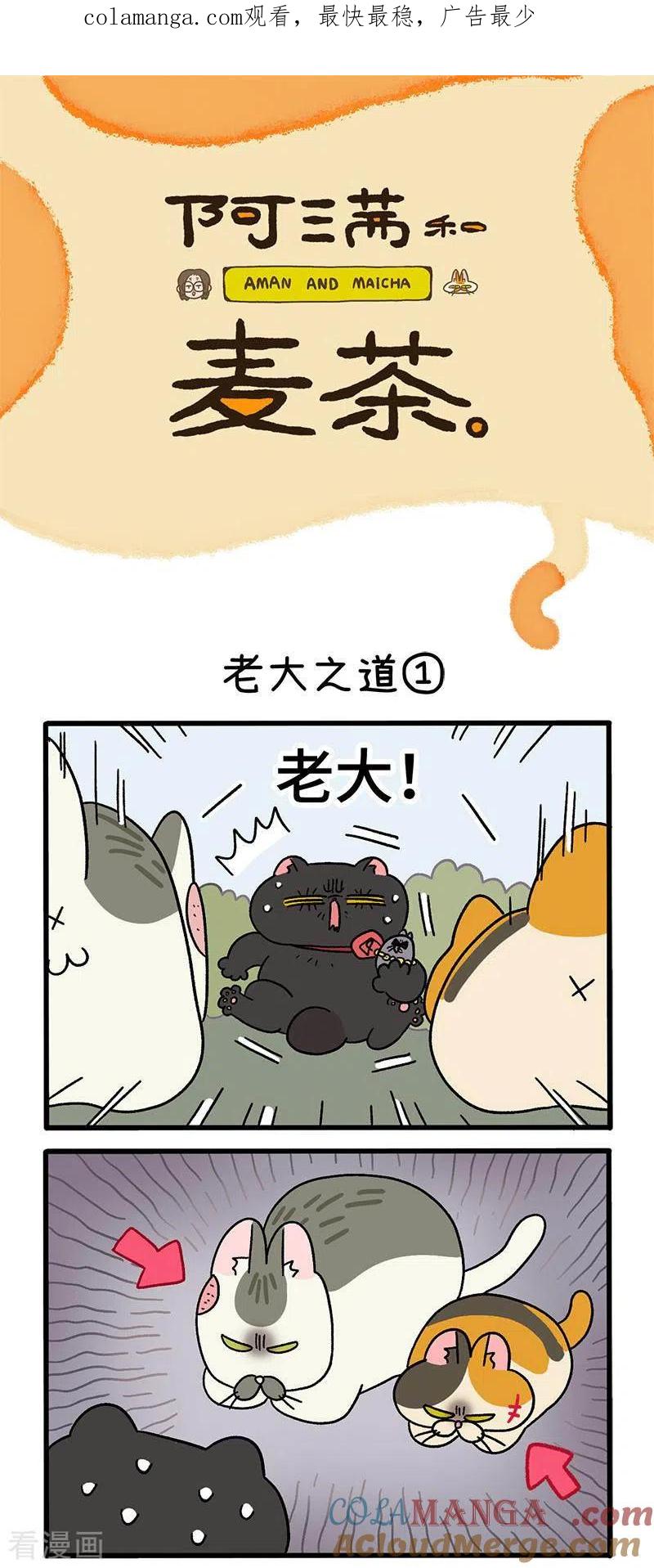 第38话1老大之道-阿满和麦茶-新漫画 日胖大海寺（第1张）