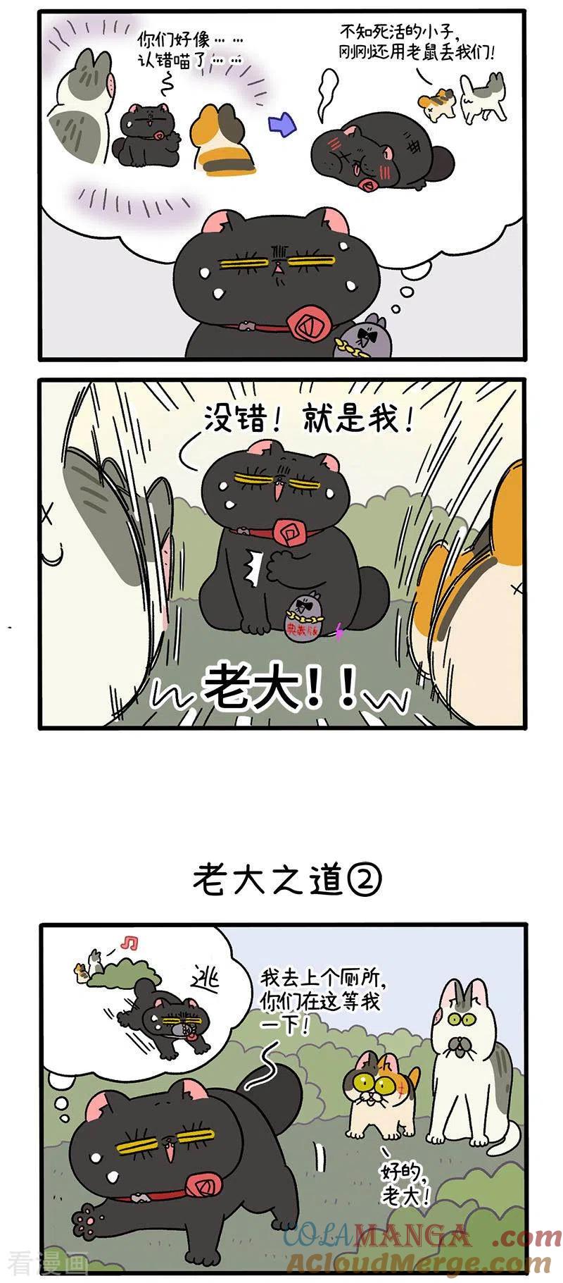 第38话1老大之道-阿满和麦茶-新漫画 日胖大海寺（第2张）