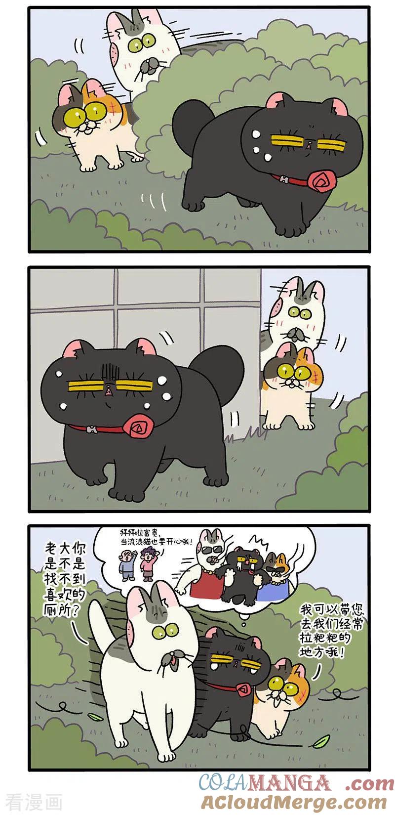 第38话1老大之道-阿满和麦茶-新漫画 日胖大海寺（第3张）