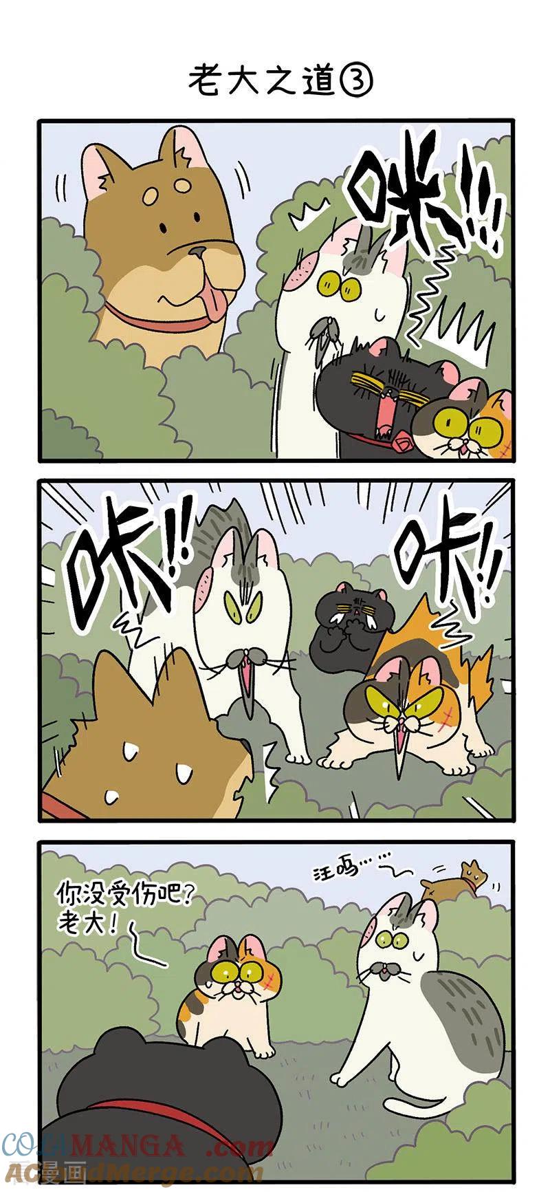 第38话1老大之道-阿满和麦茶-新漫画 日胖大海寺（第4张）