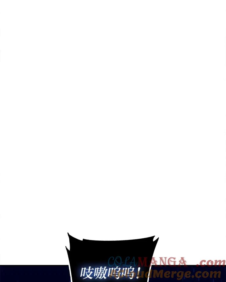 113.jpg