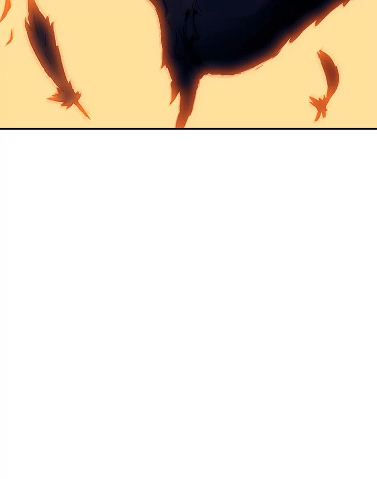 80.jpg
