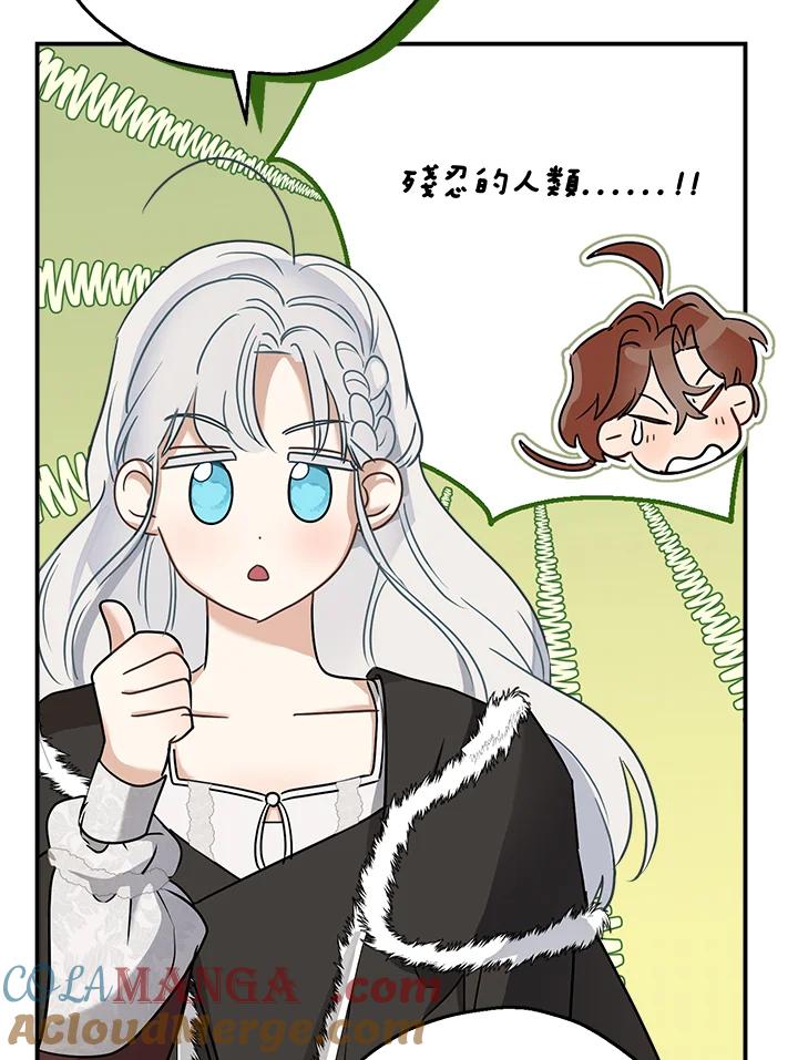 81.jpg