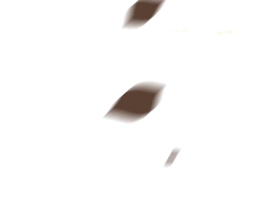 72.jpg