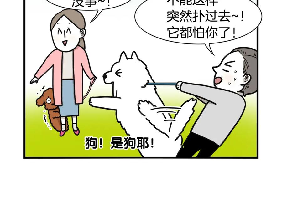 第10话狗子也社交？-我的狗子叫棉花-milo+Polarfox（第11张）