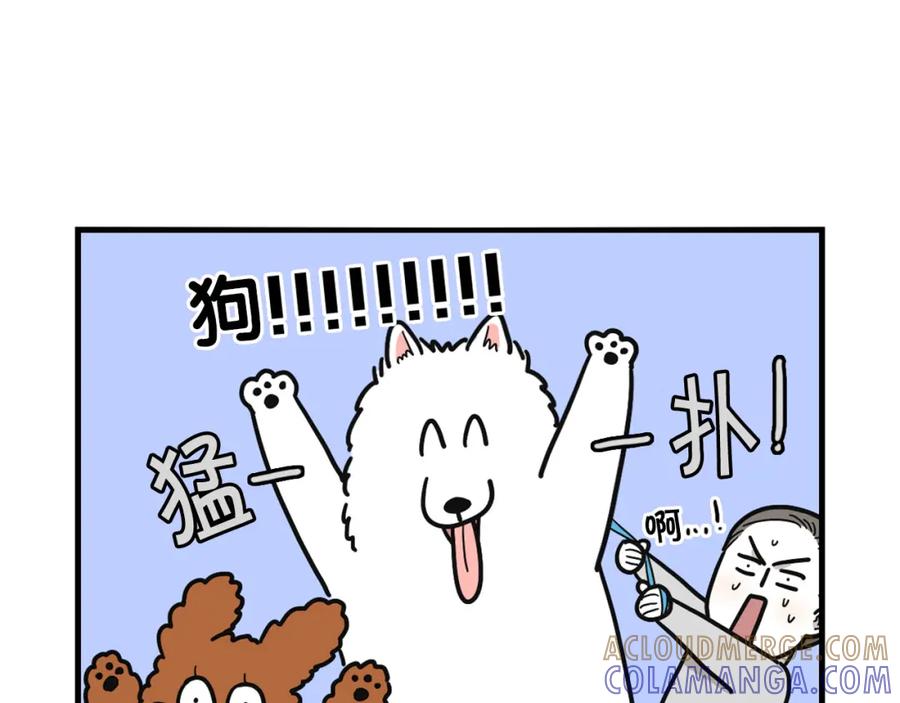第10话狗子也社交？-我的狗子叫棉花-milo+Polarfox（第9张）