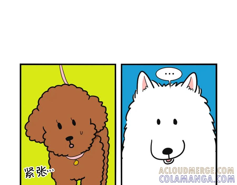 第10话狗子也社交？-我的狗子叫棉花-milo+Polarfox（第6张）