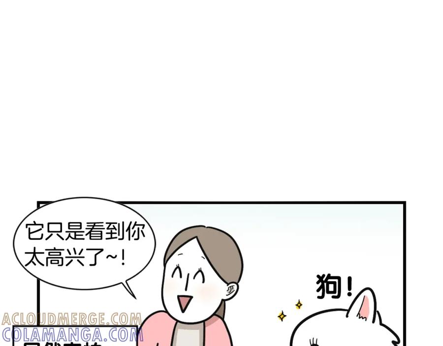第10话狗子也社交？-我的狗子叫棉花-milo+Polarfox（第12张）