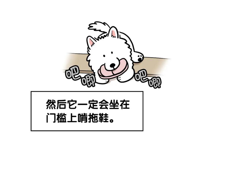 第13话拆家大王-我的狗子叫棉花-milo+Polarfox（第7张）