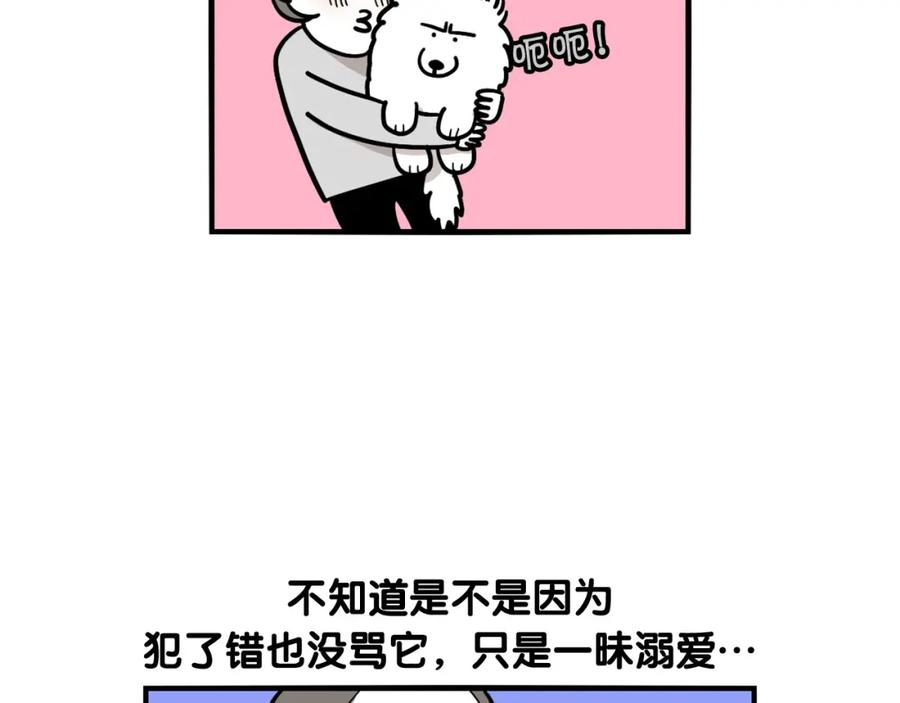 第13话拆家大王-我的狗子叫棉花-milo+Polarfox（第11张）