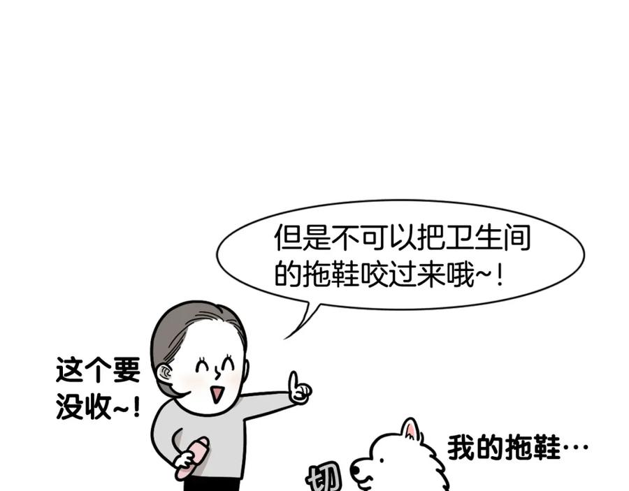 第13话拆家大王-我的狗子叫棉花-milo+Polarfox（第9张）