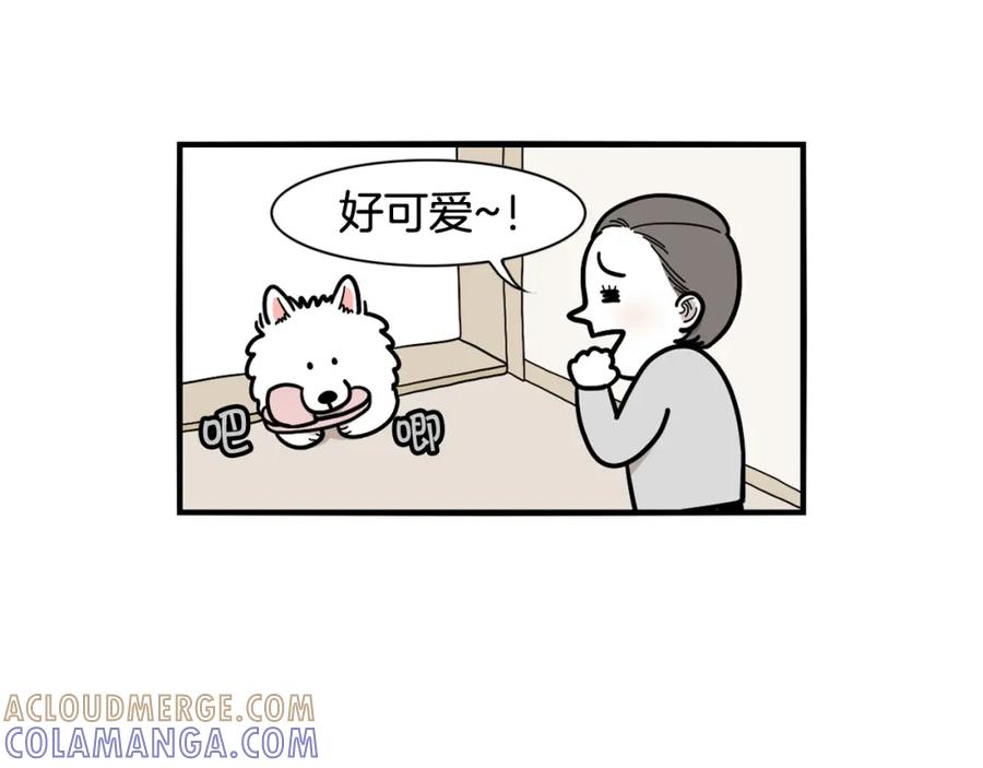 第13话拆家大王-我的狗子叫棉花-milo+Polarfox（第8张）