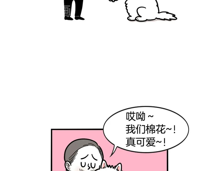 第13话拆家大王-我的狗子叫棉花-milo+Polarfox（第10张）