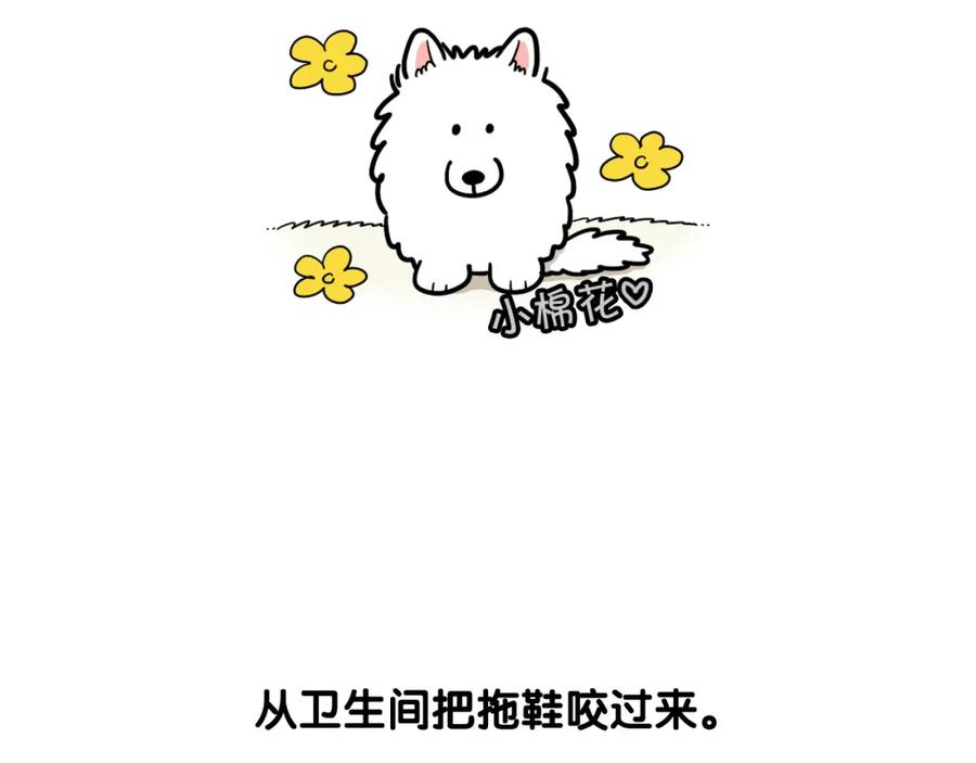 第13话拆家大王-我的狗子叫棉花-milo+Polarfox（第5张）
