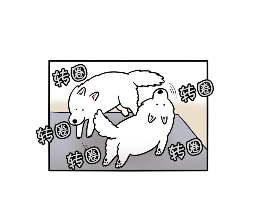 第14话挤挤更健康～-我的狗子叫棉花-milo+Polarfox（第10张）