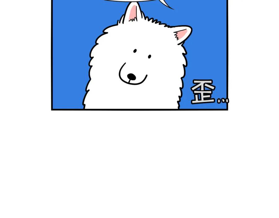第15话医院之行-我的狗子叫棉花-milo+Polarfox（第6张）