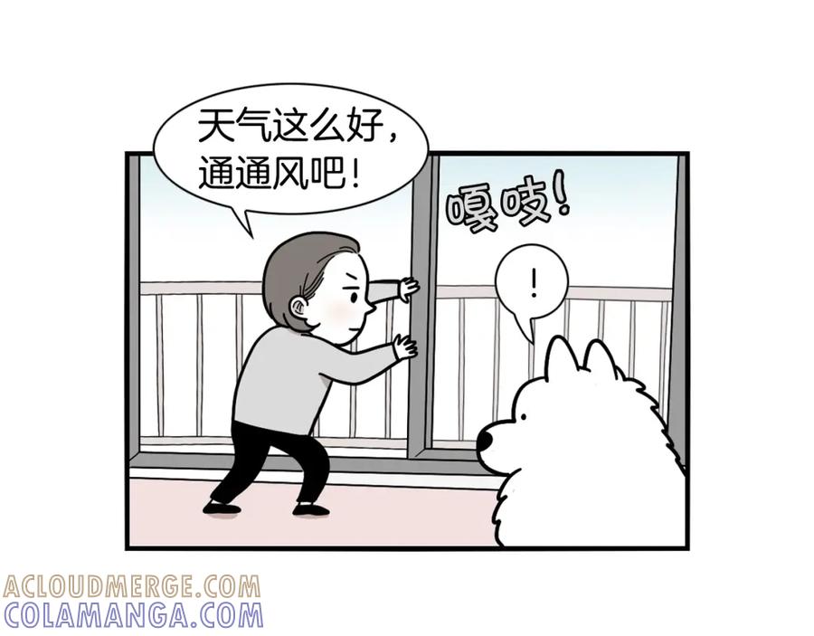 第16话大狗的软肋-我的狗子叫棉花-milo+Polarfox（第4张）