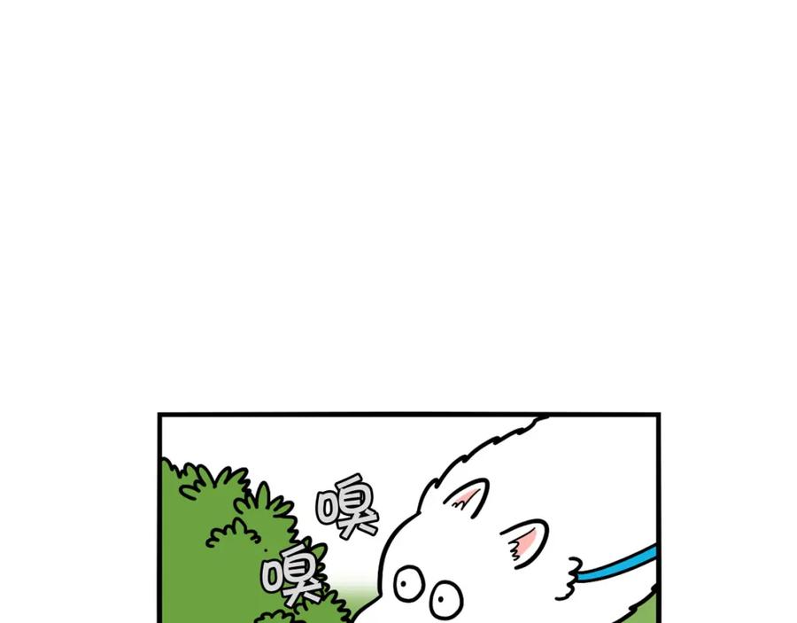 第17话酷爱捡东西-我的狗子叫棉花-milo+Polarfox（第5张）