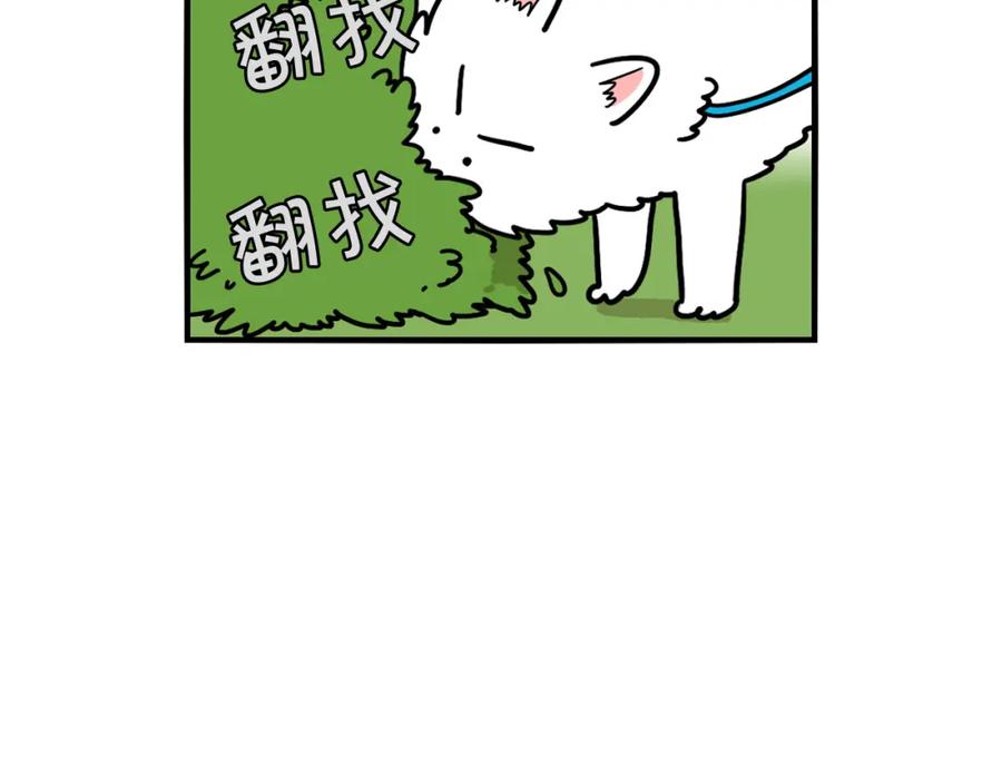 第17话酷爱捡东西-我的狗子叫棉花-milo+Polarfox（第7张）