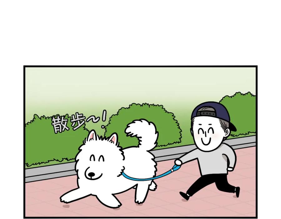 第17话酷爱捡东西-我的狗子叫棉花-milo+Polarfox（第4张）