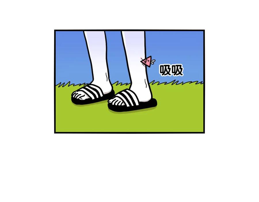 第18话驱虫大作战-我的狗子叫棉花-milo+Polarfox（第11张）