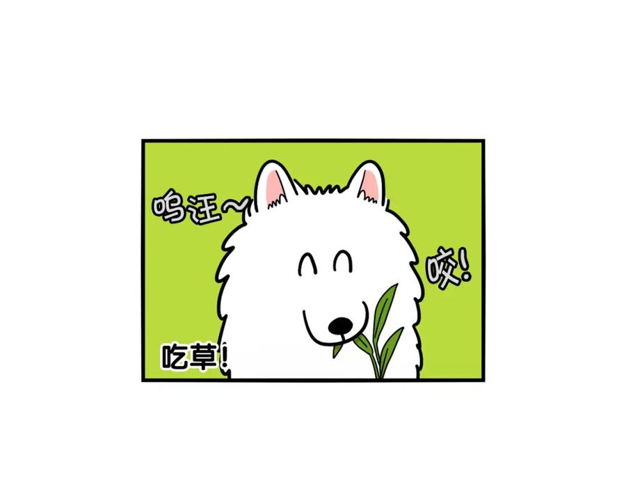 第18话驱虫大作战-我的狗子叫棉花-milo+Polarfox（第7张）