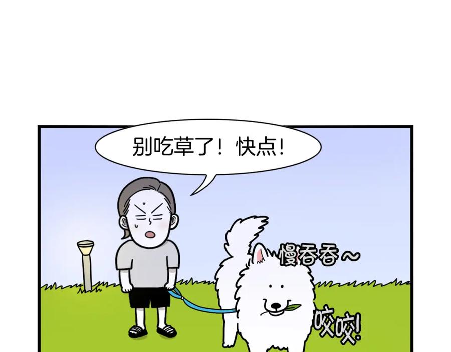 第18话驱虫大作战-我的狗子叫棉花-milo+Polarfox（第8张）