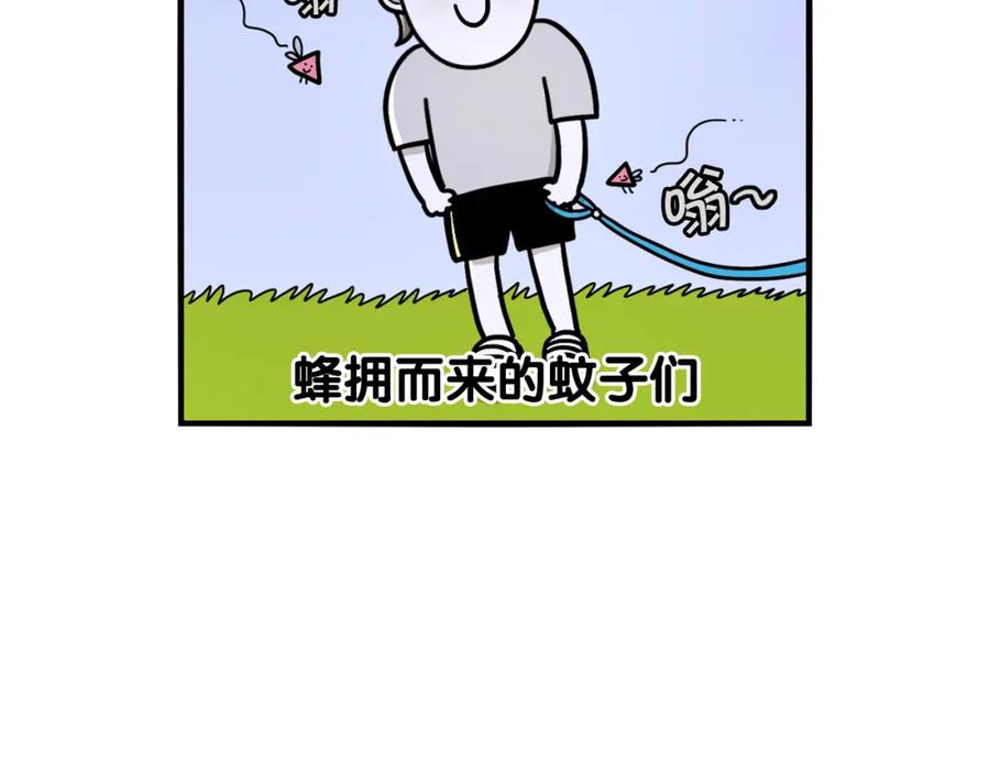 第18话驱虫大作战-我的狗子叫棉花-milo+Polarfox（第10张）