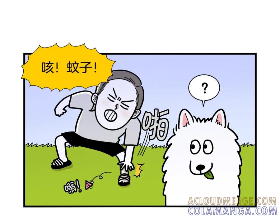 第18话驱虫大作战-我的狗子叫棉花-milo+Polarfox（第12张）