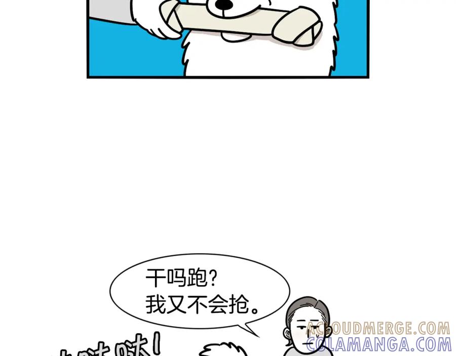 第19话藏磨牙棒-我的狗子叫棉花-milo+Polarfox（第6张）