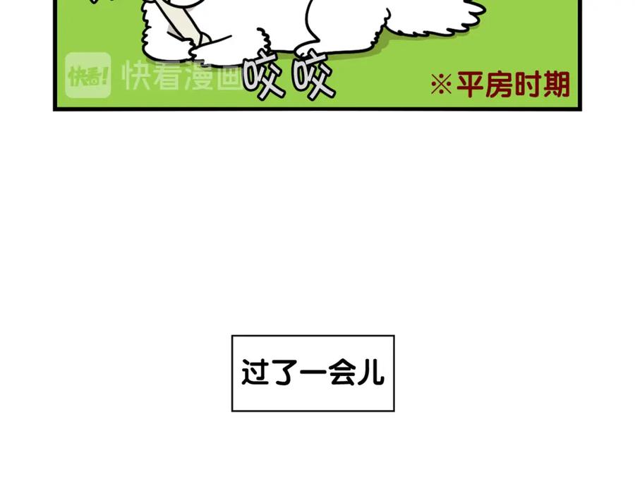 第19话藏磨牙棒-我的狗子叫棉花-milo+Polarfox（第11张）