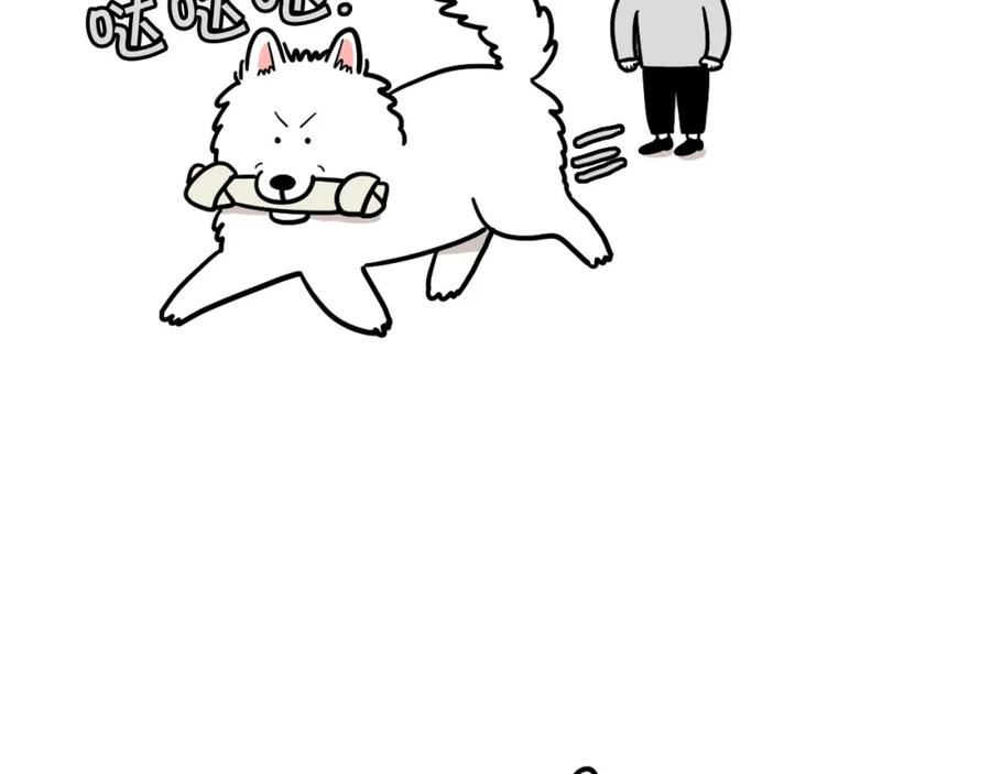 第19话藏磨牙棒-我的狗子叫棉花-milo+Polarfox（第7张）